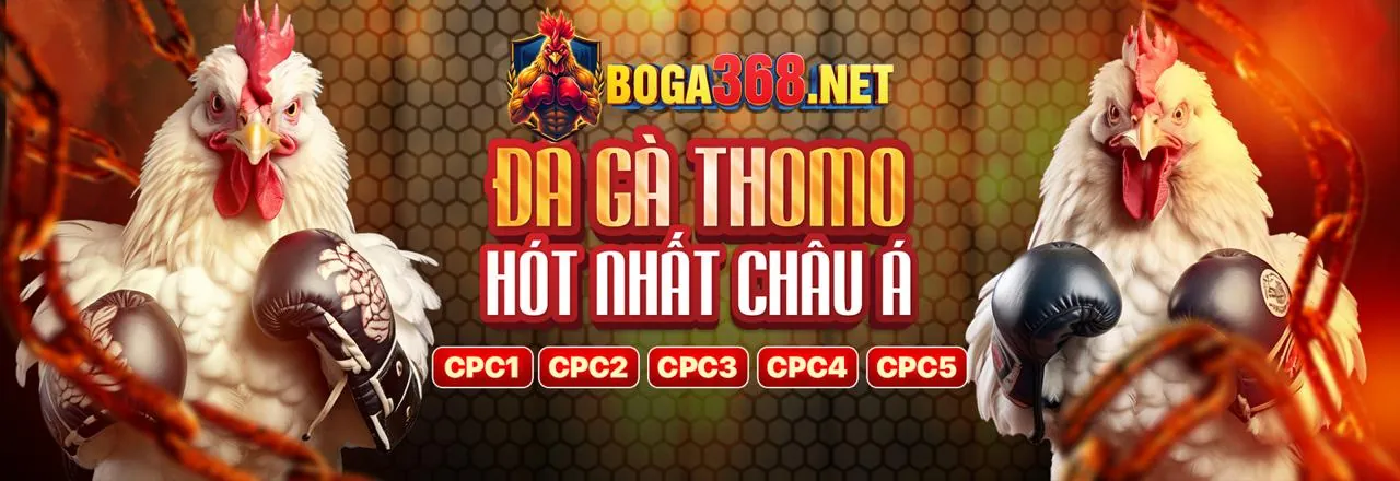 Sân vận động bóng đá với đèn pha rực rỡ, tượng trưng cho thế giới cá cược thể thao MCW18